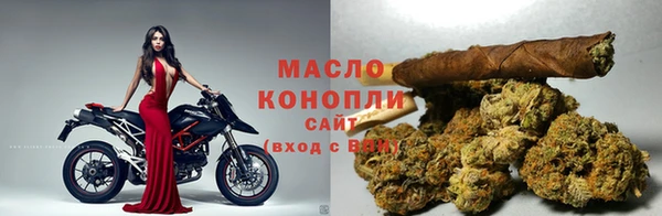 сатива Верея