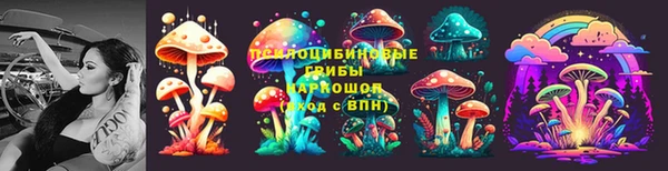 сатива Верея