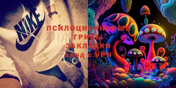 амф Струнино