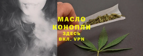 сатива Верея