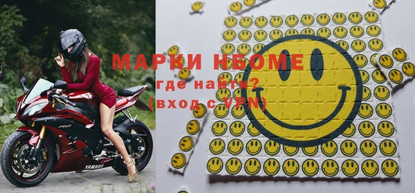 сатива Верея